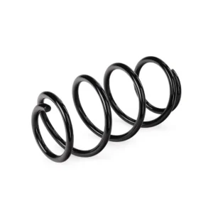 Helezon Yayı Ön Koleos I 2008 ve Sonrası BM 54010JY00D