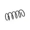 Helezon Yayı Arka Duster 2010-2018 Arası BM 550202720R