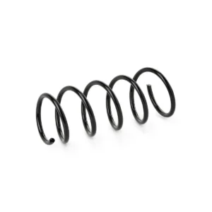 Helezon Yayı Arka Duster 2010-2018 Arası BM 550202720R