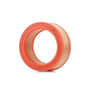 Hava Filtresi R4 R8 1969 ve Sonrası BM 7701021327