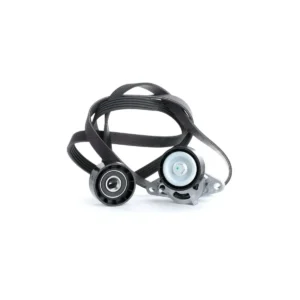 V Kayış Seti Clio Megane Kango Espace Logan Sandero 1996 ve Sonrası BM 7701477517